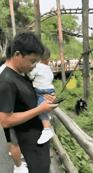 在动物园里，一位爸爸全程低头盯着手机，怀里的宝宝没抱稳，直接掉进了动物展区里。孩