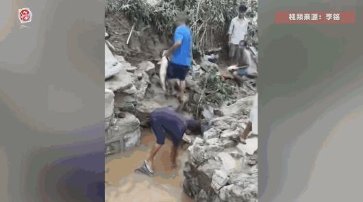 “笑不活了！”7月2日，云南，一位大哥在河边抓住了一条半米多长的大鱼！正开心的把
