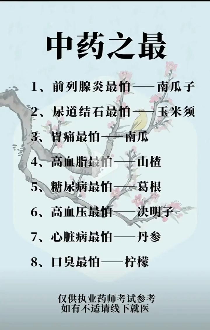中药之最。·1、前列腺炎最怕--南瓜子。·2、尿道结石最怕-玉米须。·3、