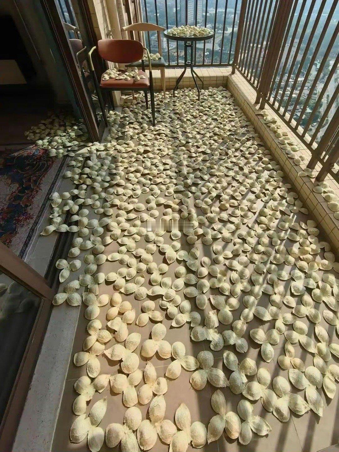 谁都不服，就服我老婆，这玩意到处都有卖，非得在家里自己晒....