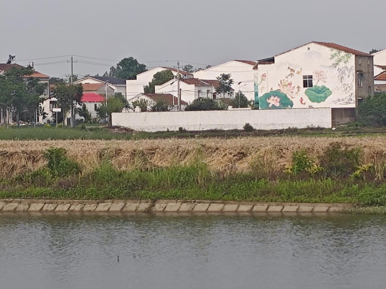 襄州官沟水库，藏在城郊的治愈秘境周末避开人潮，一头扎进襄州官沟水库的自然里