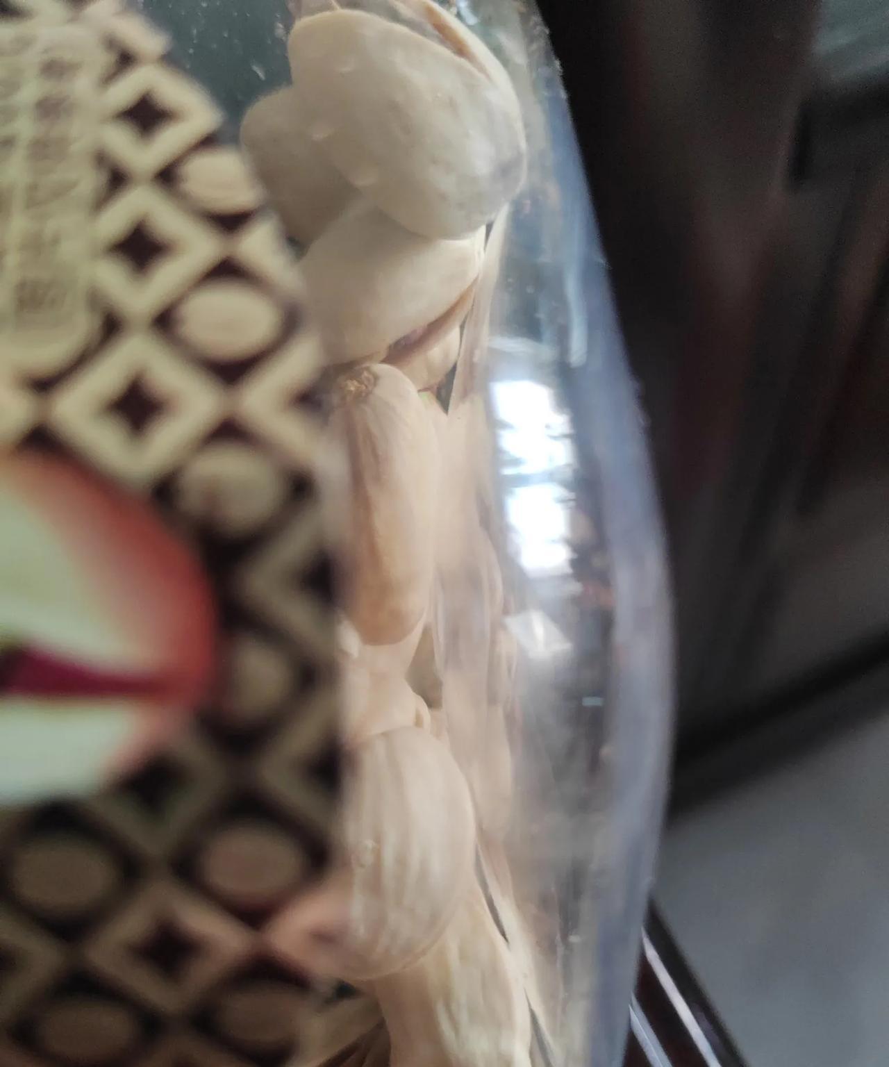 隔壁的小张找了婆家，老公要求全职在家看孩子。小张回家和母亲商量了一下，说全职在家