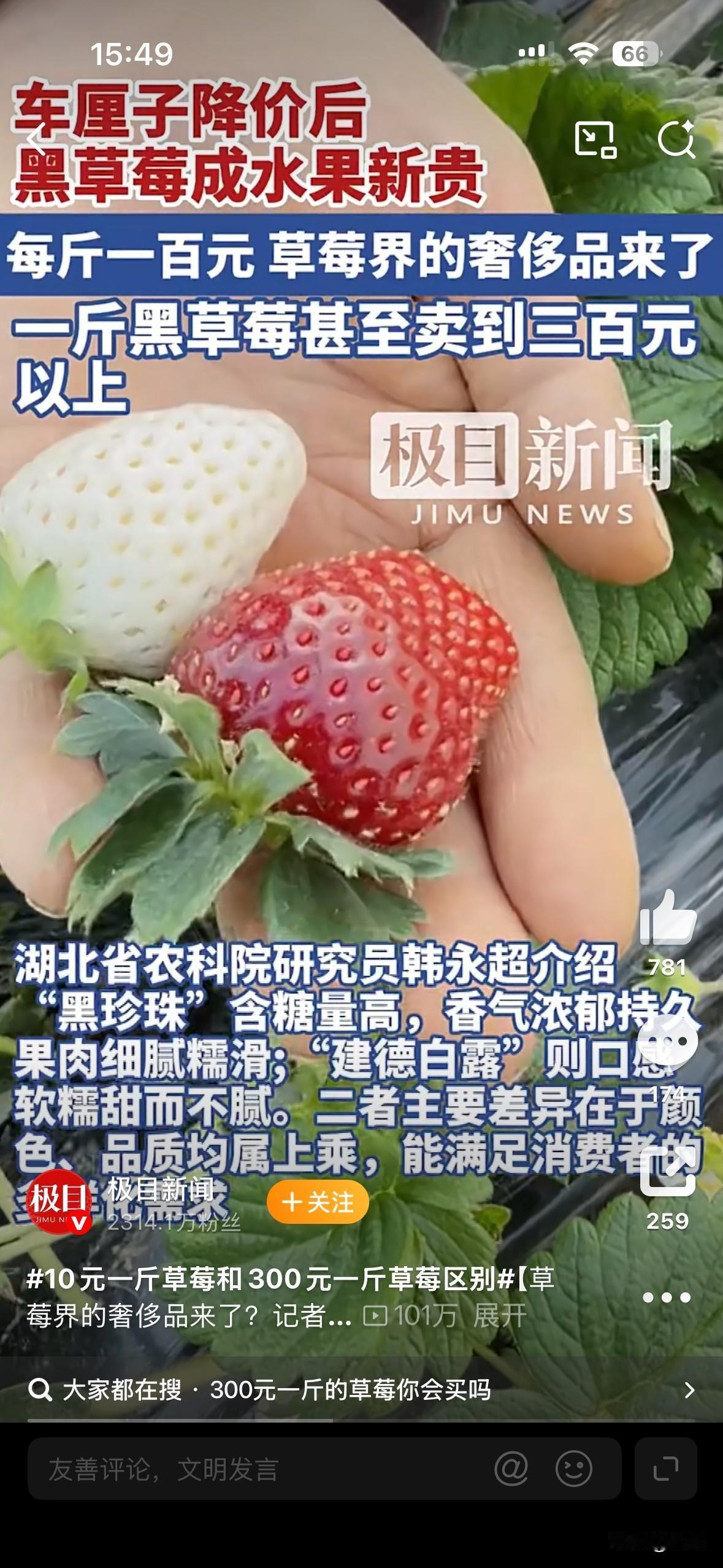 一款“黑草莓”正在逐渐走红。价格为315元，也有来自大凉山的黑草莓750克售价1