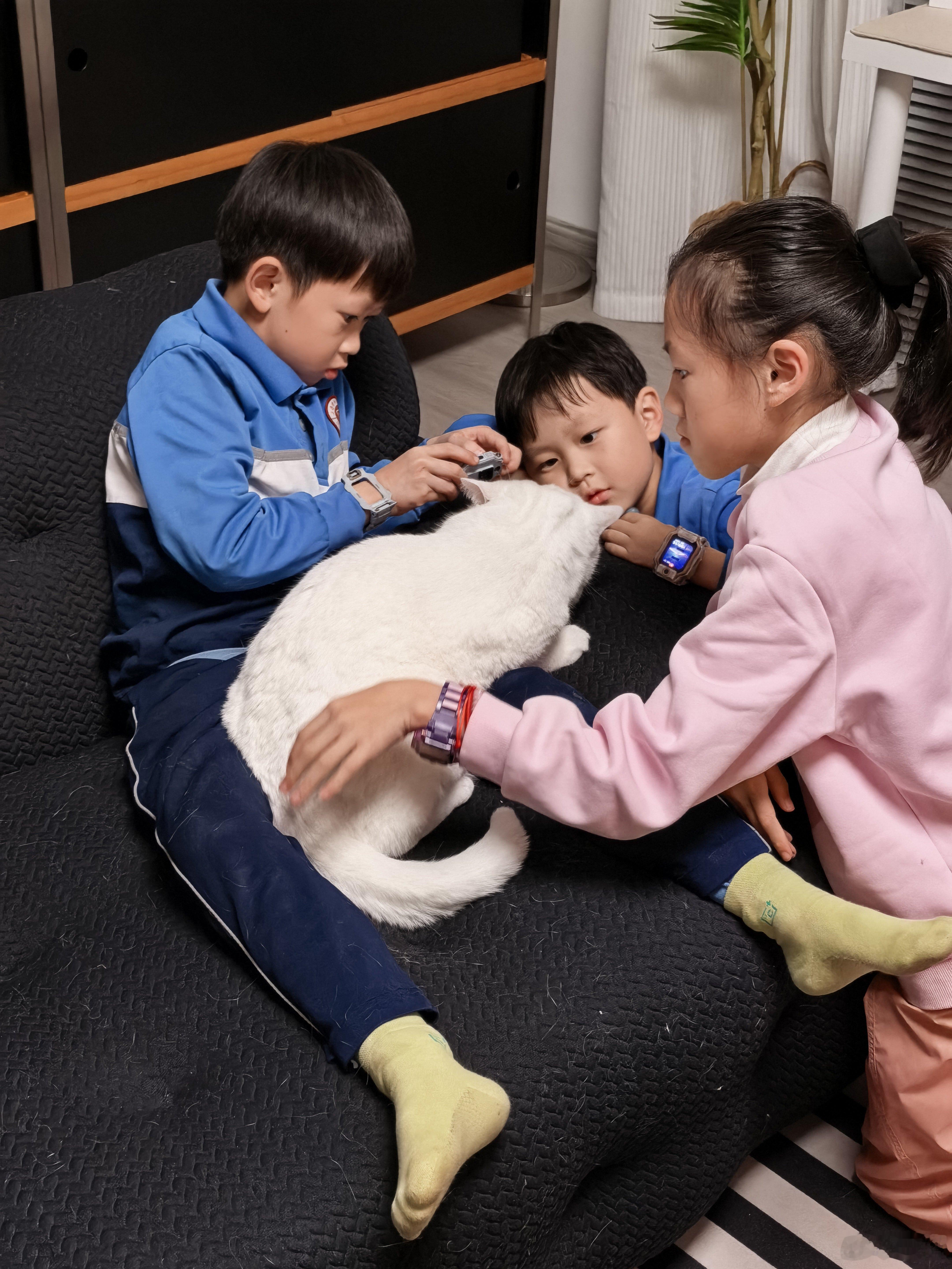 家里变幼儿园了！我们江小白真的是天使猫猫，很配合在陪小朋友们玩