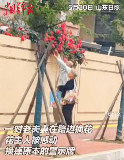 在山东日照的一个普通街角，一位年轻姑娘在家门口种下了一些花卉，枝条渐渐长高并探出