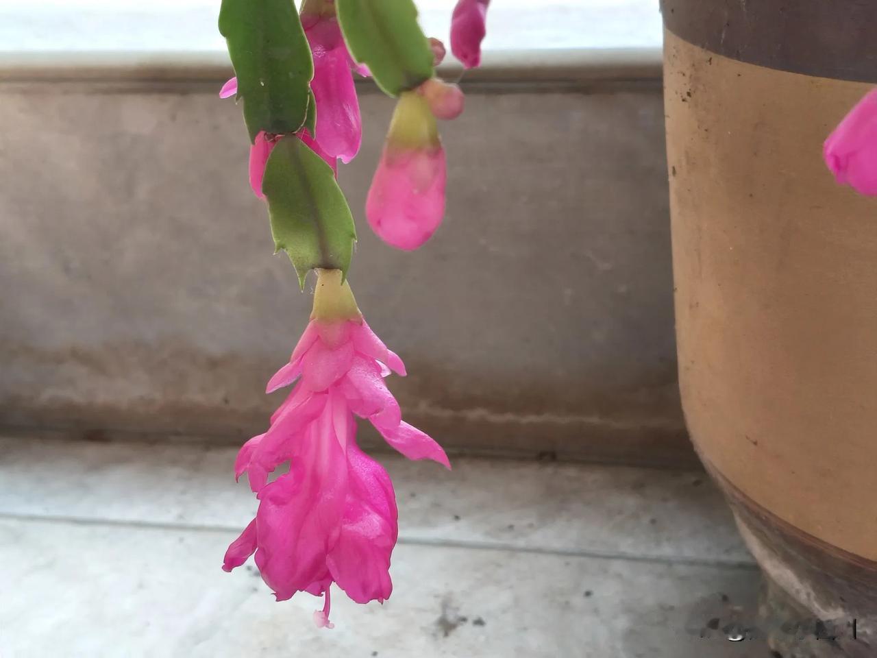 咱普通老百姓，真的是不怕生错命就怕得错病孩子的班上有一位同学，爸爸是送快递的，