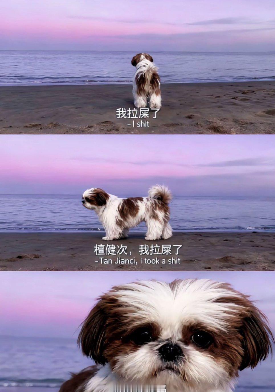 错过一个梗会怎样？