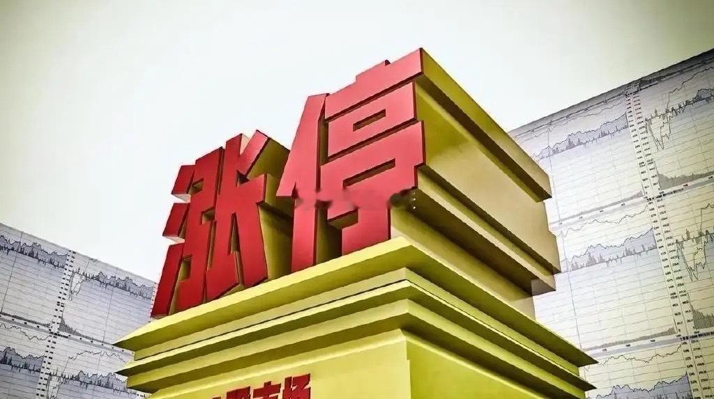 聚焦今日连板池（12月11日）1、安妮股份，6天5板，封板逻辑：控制权变更*福建