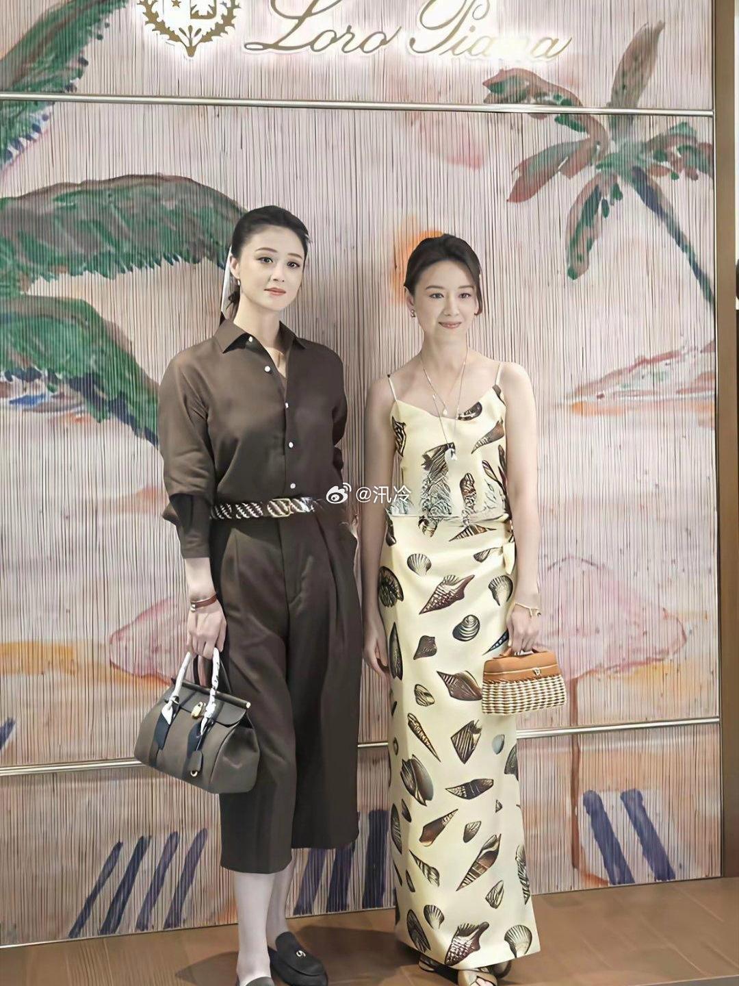 突然发现董洁无论和谁合照都没输过