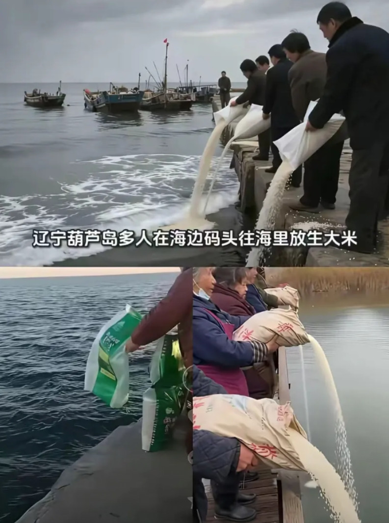 这些人脑子多少有点问题吧