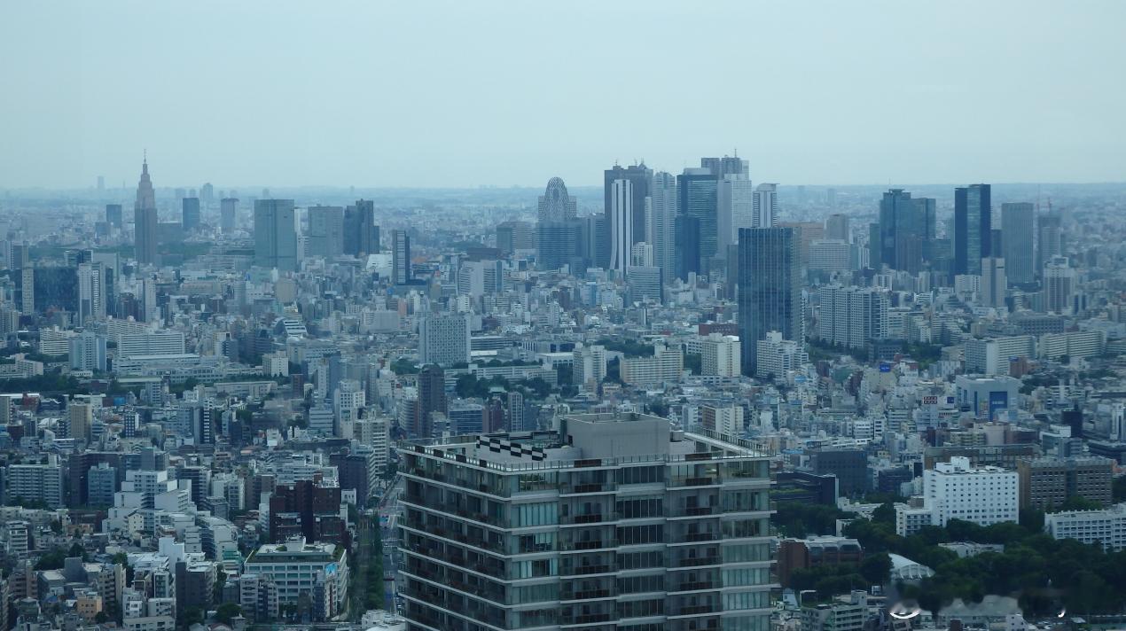 东京池袋800万日元抢劫案：中国籍22岁大学生被捕海外新鲜事日本东京池袋6月发
