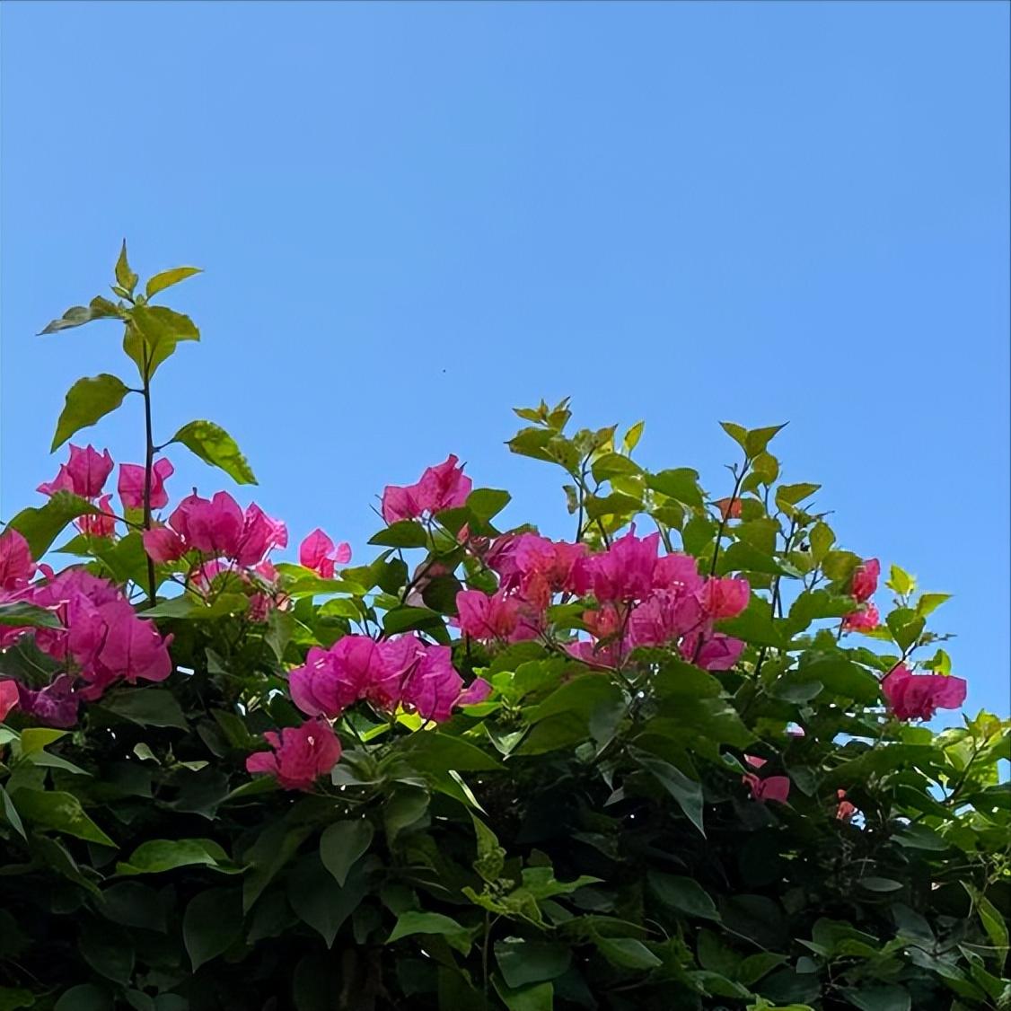 挪外交大臣艾德在北京这样说 11月11日，艾德在北京这样说： 挪对我国电