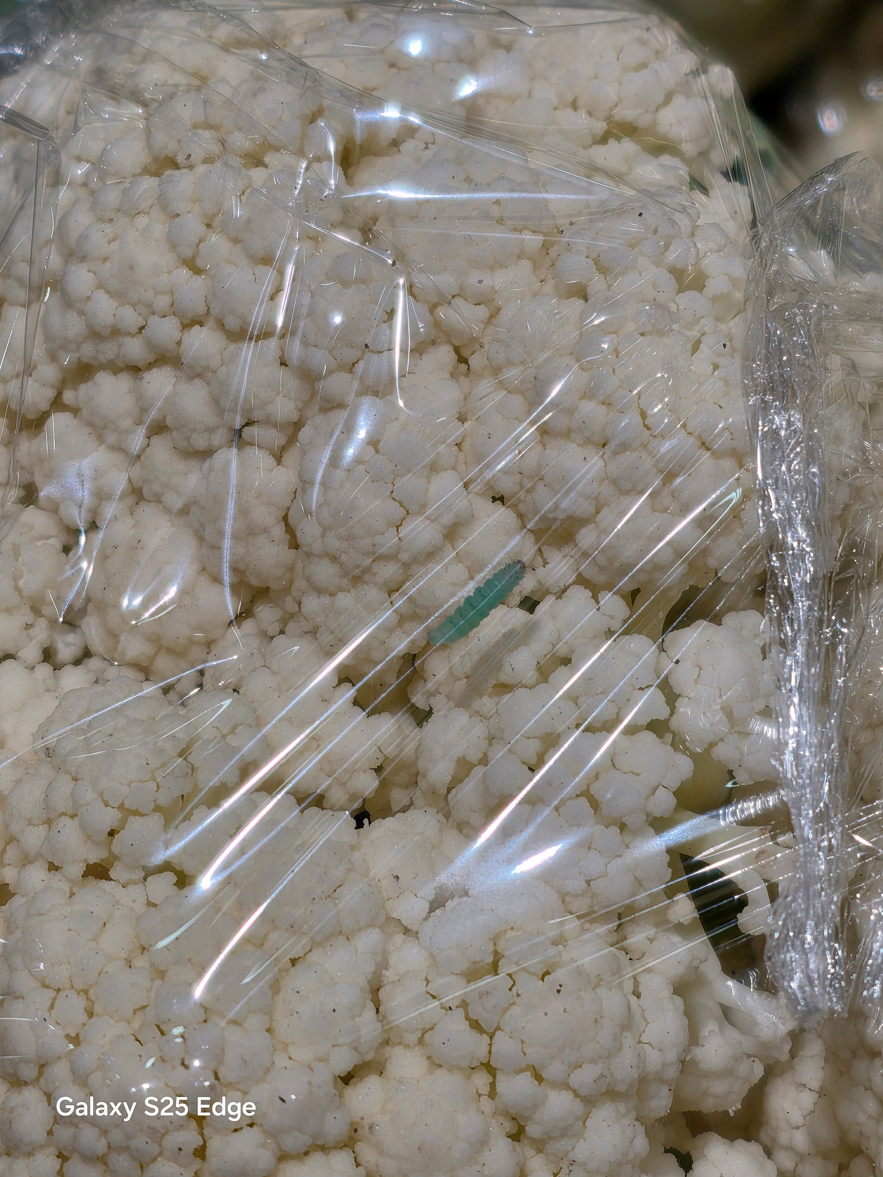 i冰宇宙网友们，这个菜花，我该不该买​​​