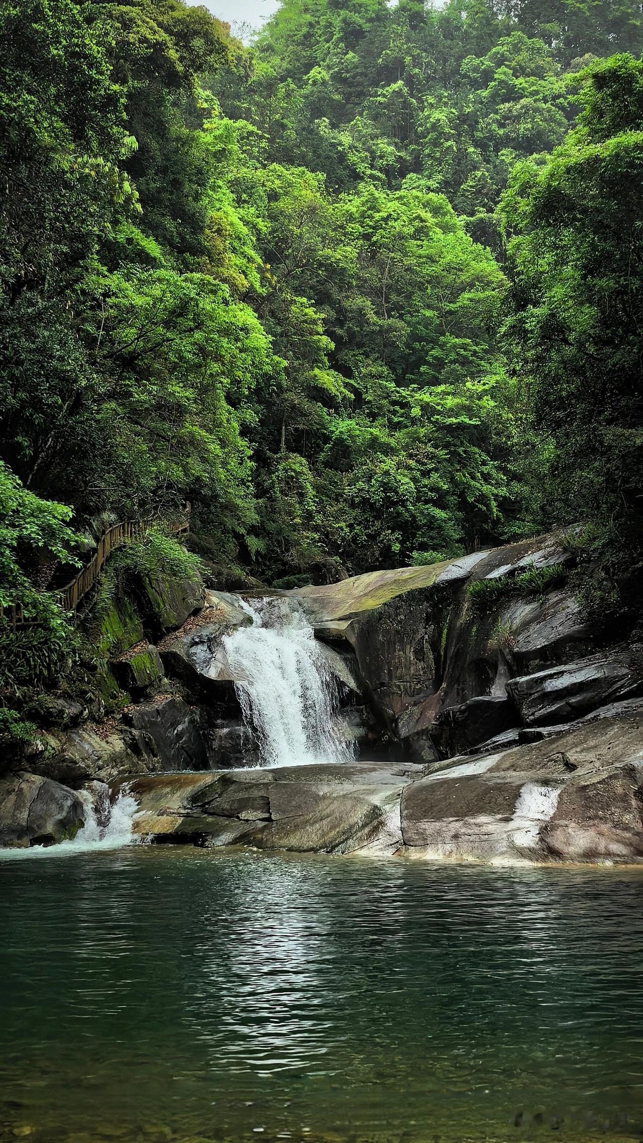 广西最美山溪水，融水龙女沟果冻水，钻石和果冻流淌在山里这里的水像绿色果冻一样Q