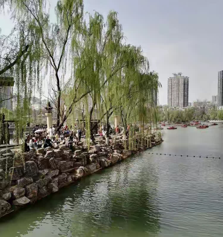 同事孩子签了五粮液，妥妥的人生赢家！江南大学酿酒工程，据说毕业生不愁工作，全