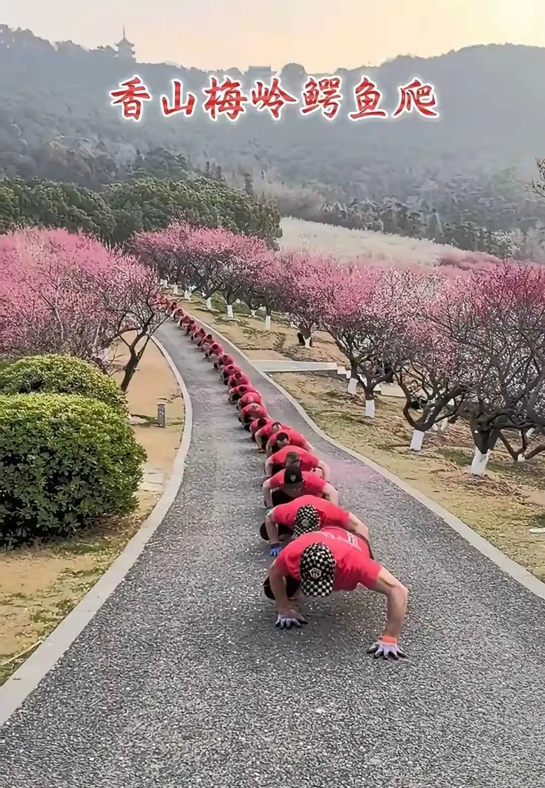 这些都是老人，退休工资一万多