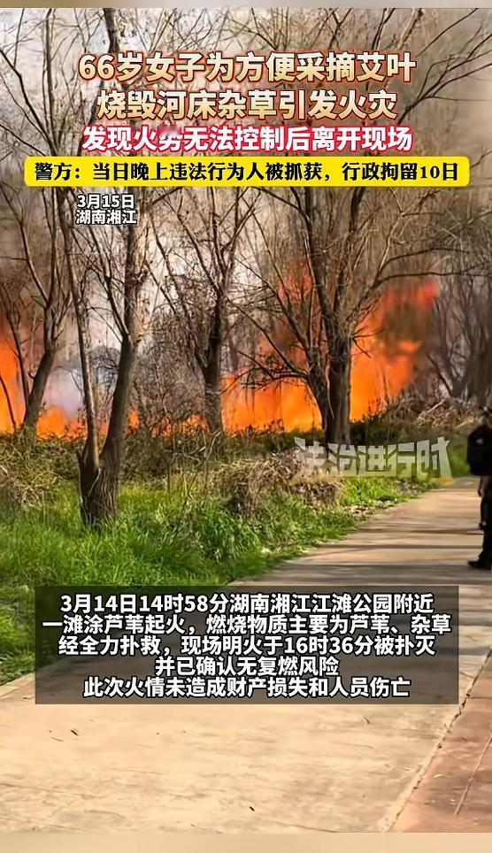 “必须严惩！”3月14日，湖南湘江，一女子为了采摘艾叶，竟放火烧毁河边杂草，不料