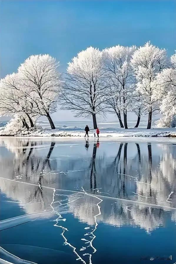 冬日仙境，冰面漫步，树影婆娑，静谧如画。