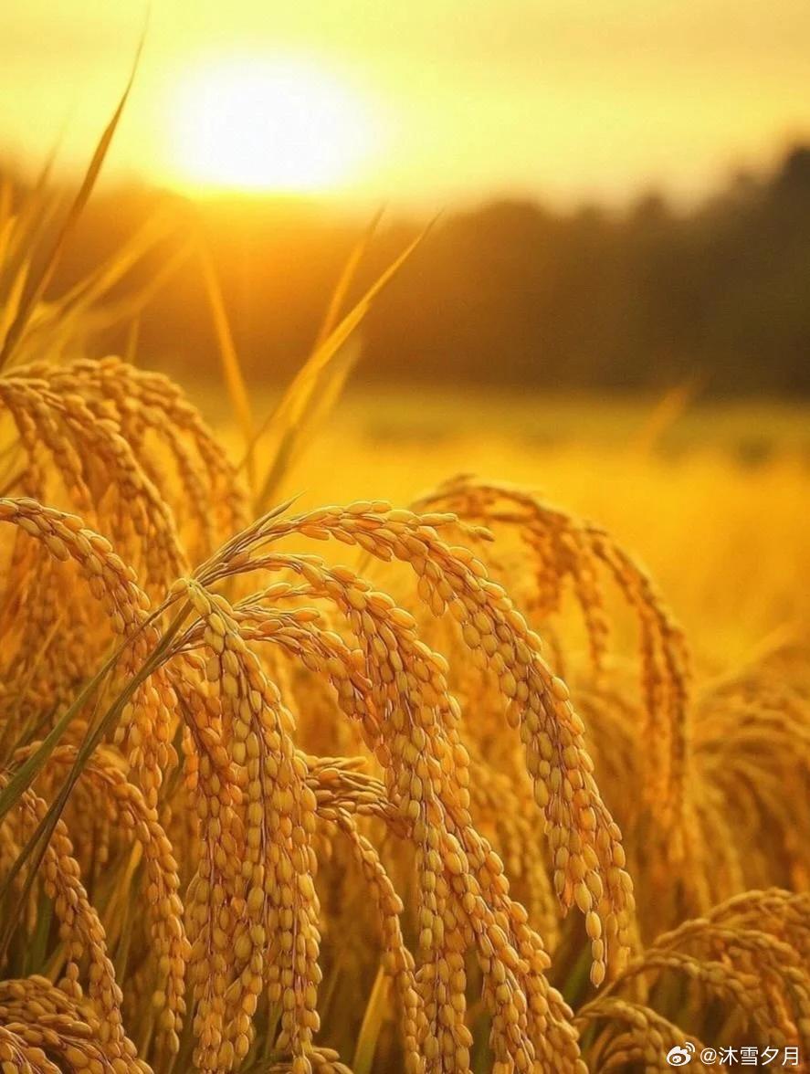 我们平时总是盼着天降好运，升职加薪、意外中大奖……可现实往往不如人愿。其实，真正