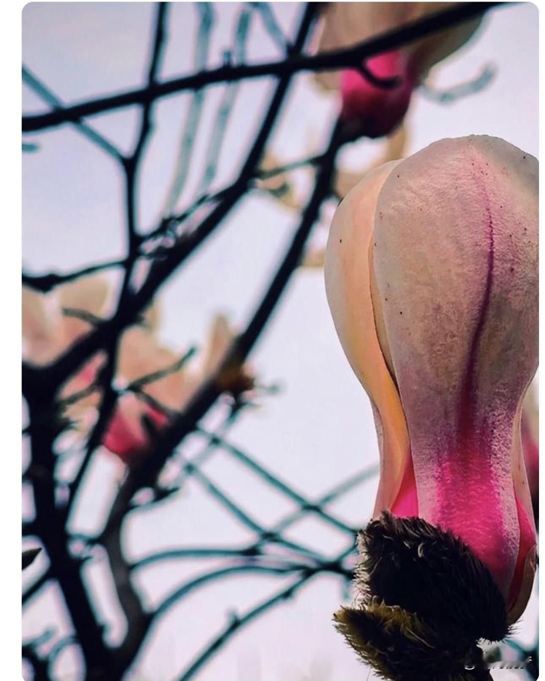 “好儿子不如好儿媳”这话我是认同的。就说我单位小李，他媳妇那叫一个明事理。丈母娘