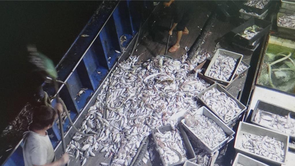 每次点评台湾海盗署扣押大陆渔民，我认为应该给海盗署一个根本的教训，就有人给我谈战