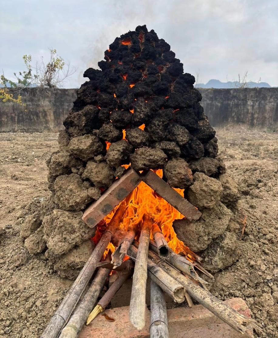 嫁来村里十年，头一回见村里办喜酒，同族兄弟结婚摆了60桌，全村人都去了，唯独没请