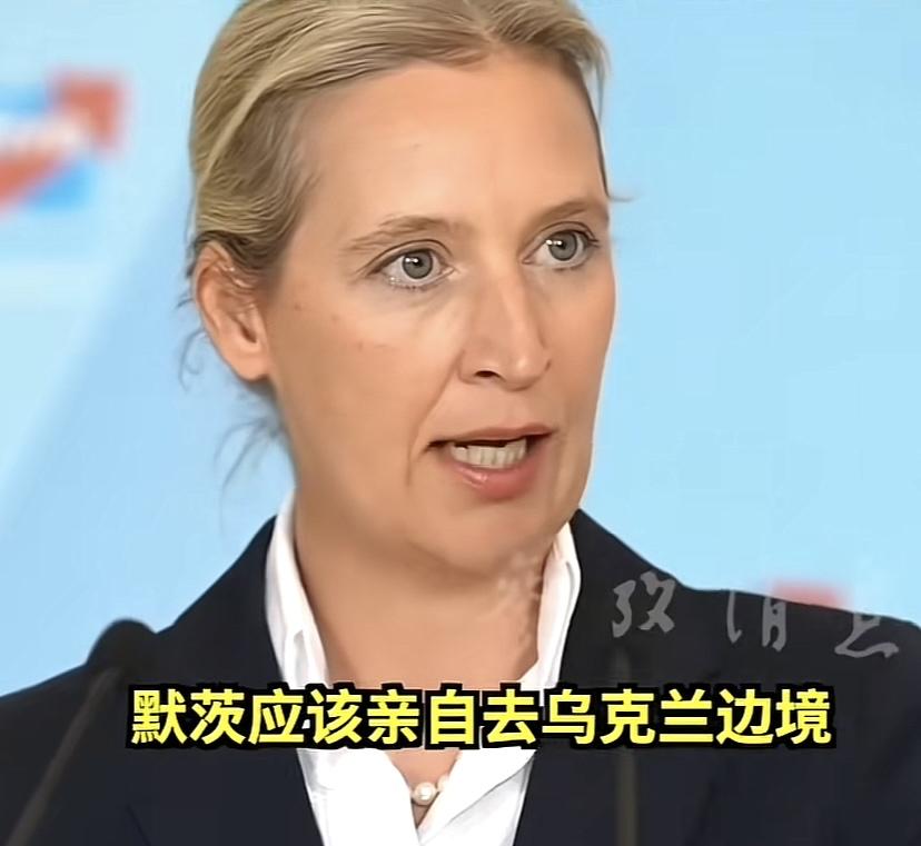 德国总理默茨也遇上麻烦了，右翼政党主席公开发问，既然你那么支持乌克兰打仗，你应该
