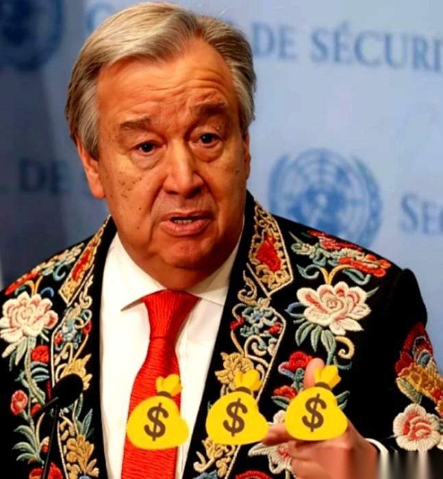 一句中文的“谢谢”，从联合国总部传出来，听着真有点恍惚。人家发言人特意用中文说