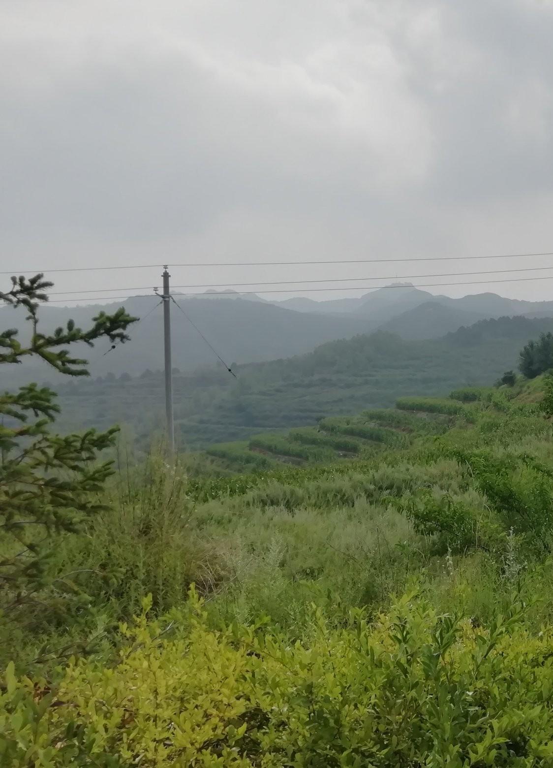 中国官媒星期二（3月24日）强调，“中国AI大模型调用量领跑全球”。南洋理工大学