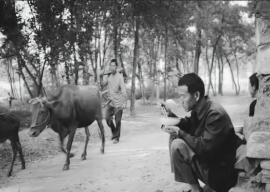 1947年8月，6纵17旅旅长率部解放了家乡，请假回乡探亲。旅长荣归故里，他的叔