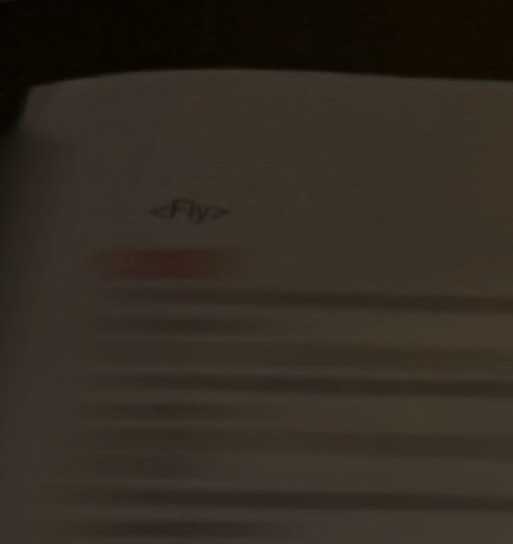 《Fly》…原来早都透露了