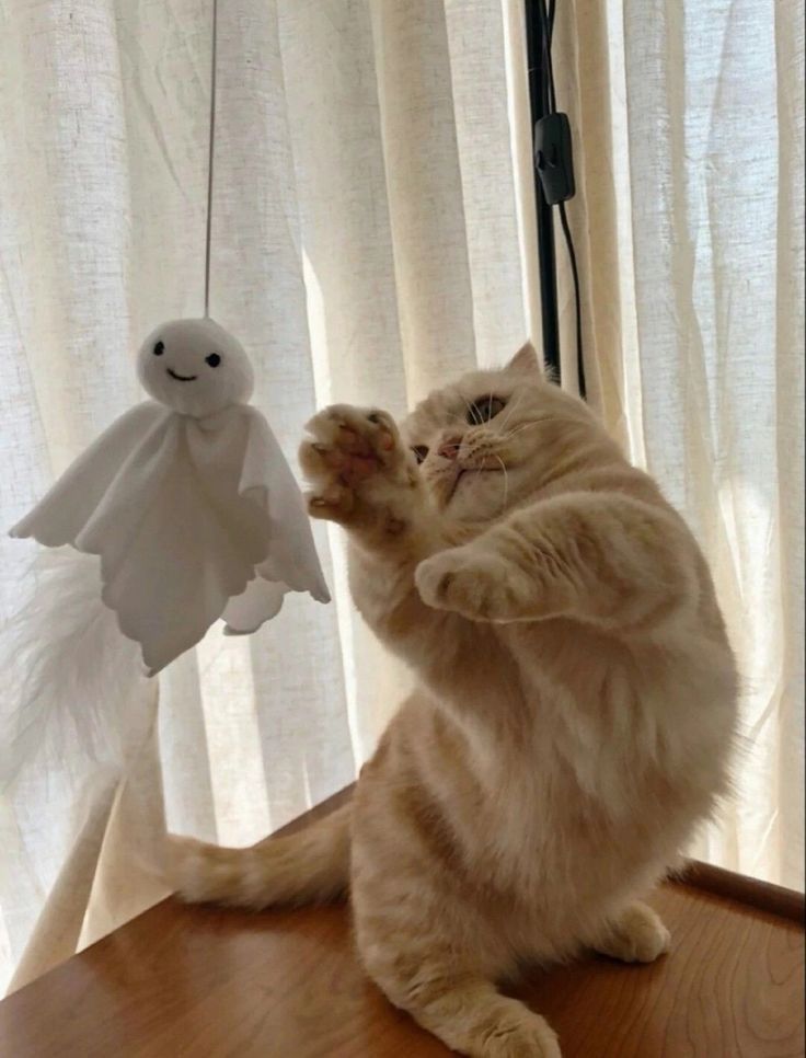 希望出太阳​​​