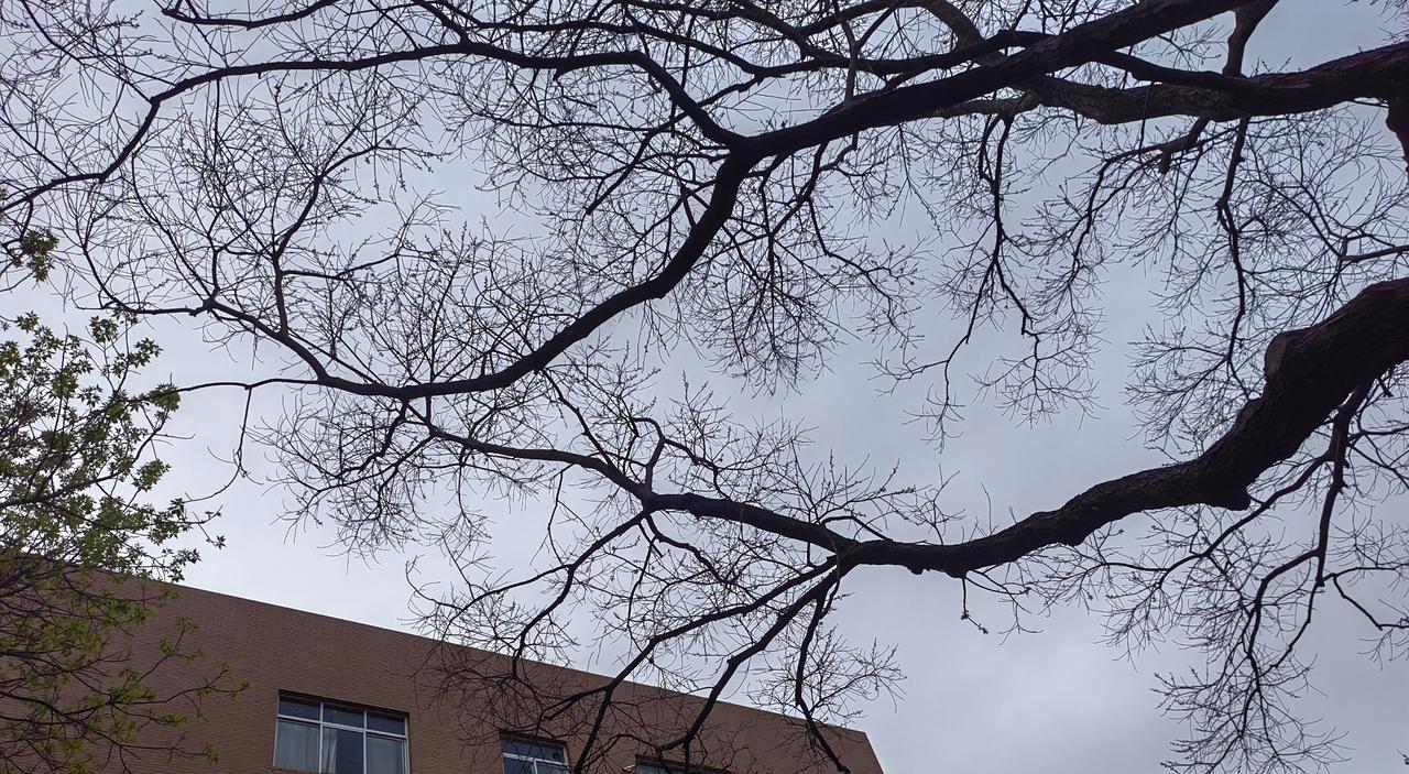 某学校餐厅售卖泡面，现场吃还会加青菜、鸡蛋、午餐肉等，这种情况不是一个学校存在，