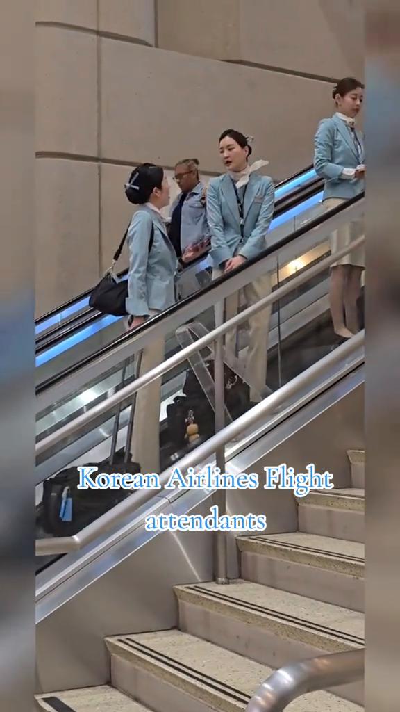 KoreanAilinesFlightattendants。