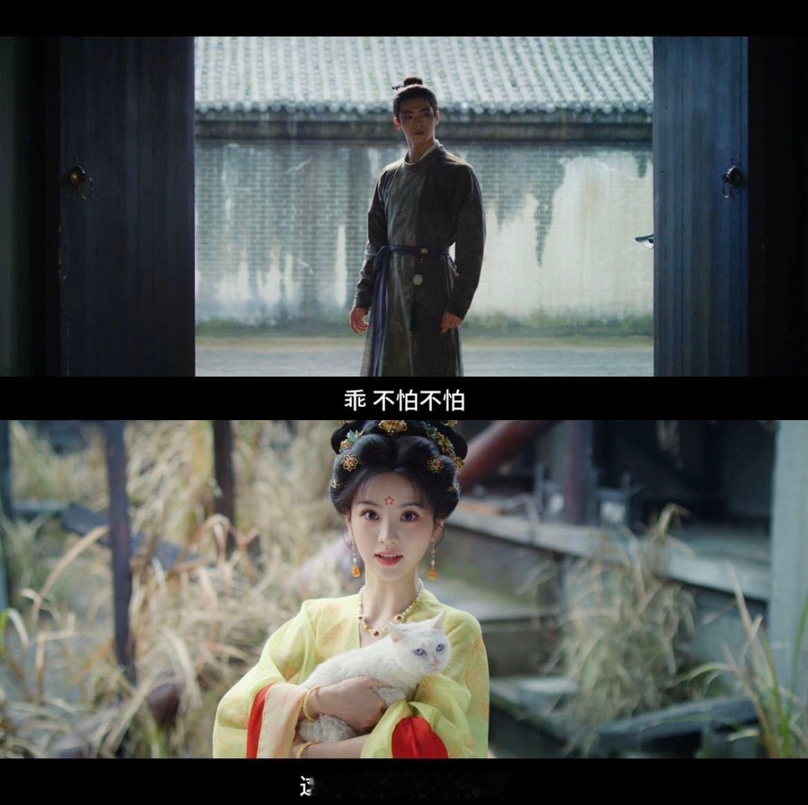 刚出新手村就遇顶级魅魔 我们纯情禁欲天师梅逐雨，刚出新手村就遇上武祯这种顶级魅魔