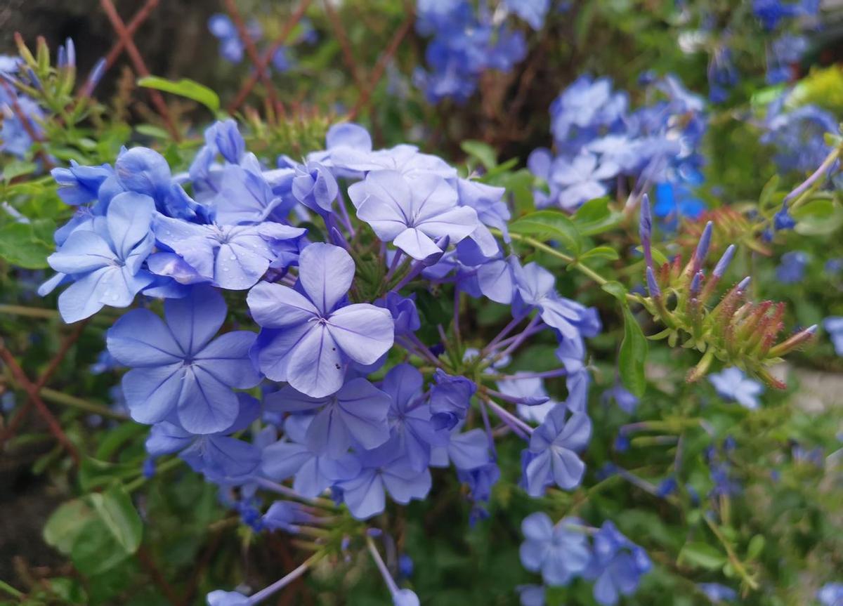 深夜12点，几个女人攥着手机，盯着工人从下水道掏出一堆油污凝固物。物业上午撂下