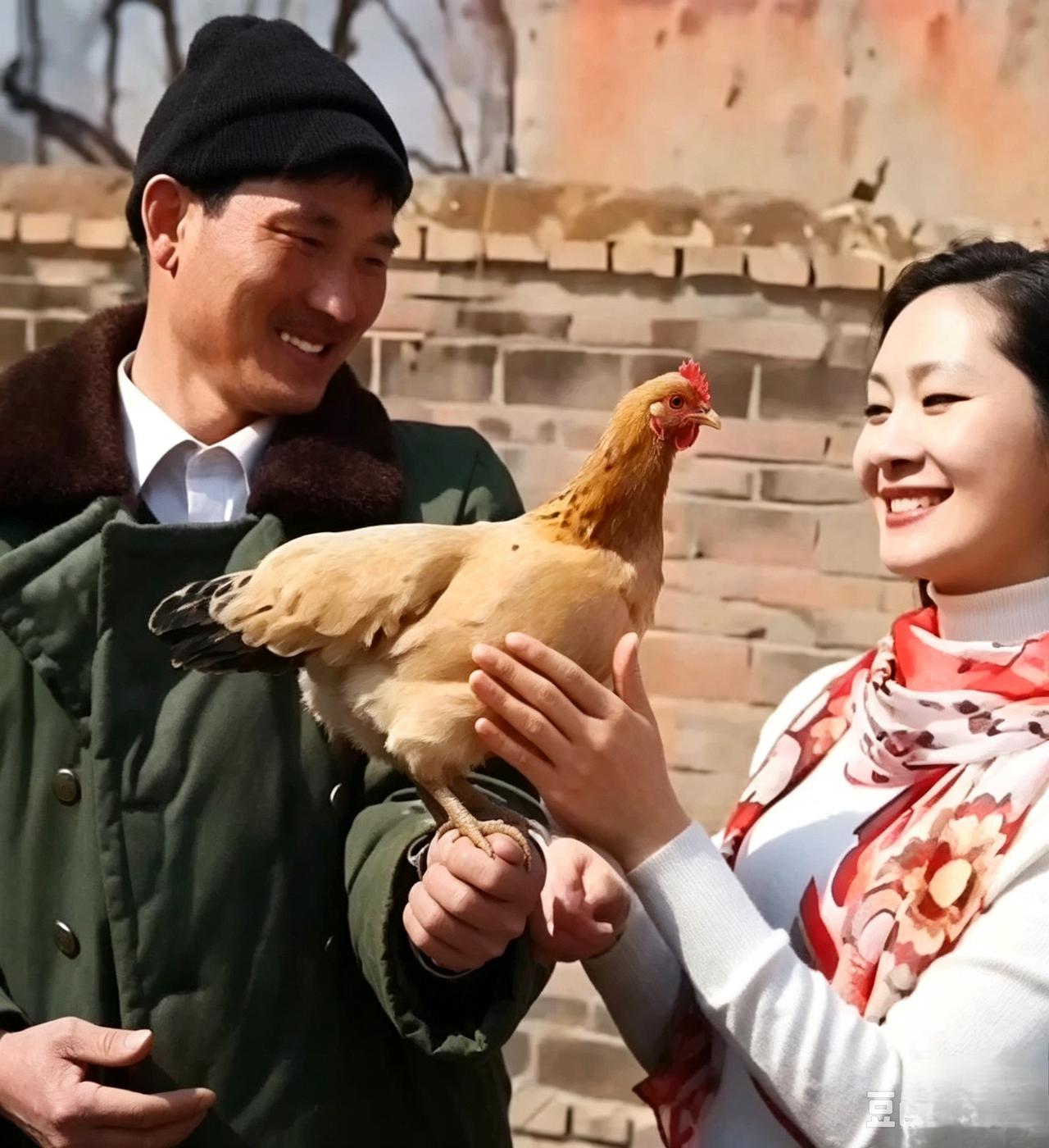 母鸡跳上大衣哥肩头听他唱歌，你觉得鸡能通人性吗？一只平平无奇的老母鸡，闹出一