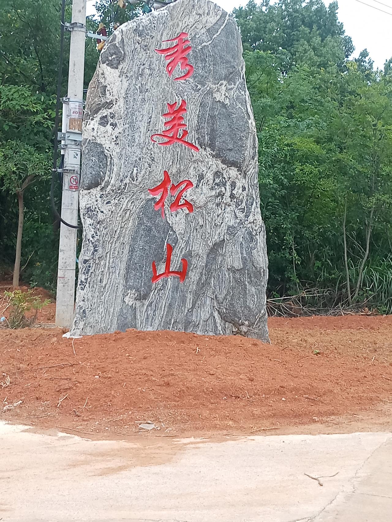 《桐城嬉子湖雨中送酒访陈友》枫林红叶原拟深山沽酒行，忽思知己赴松汀