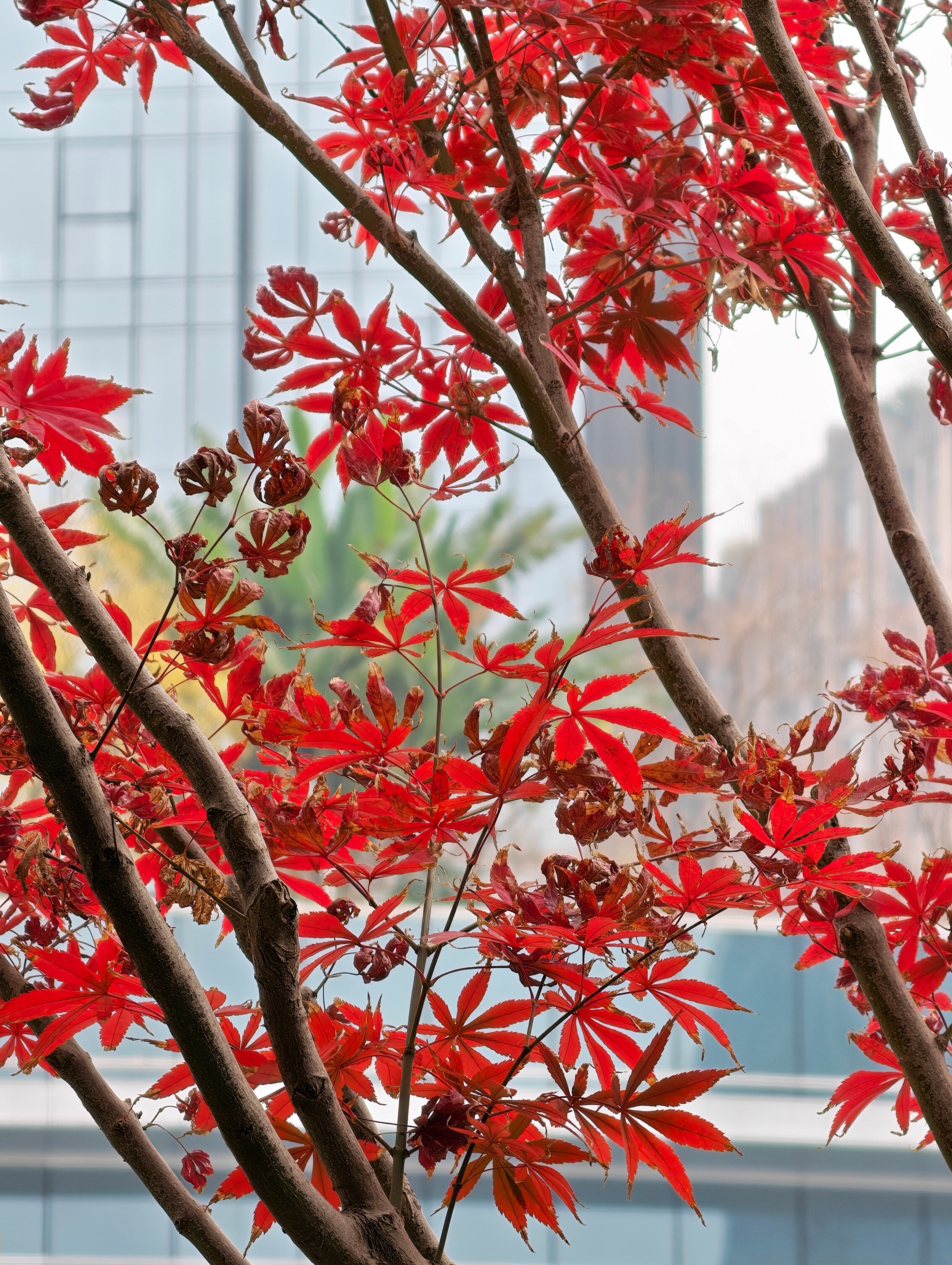 这杯子拿来喝白酒岂不是......兄弟们我干了，你随意