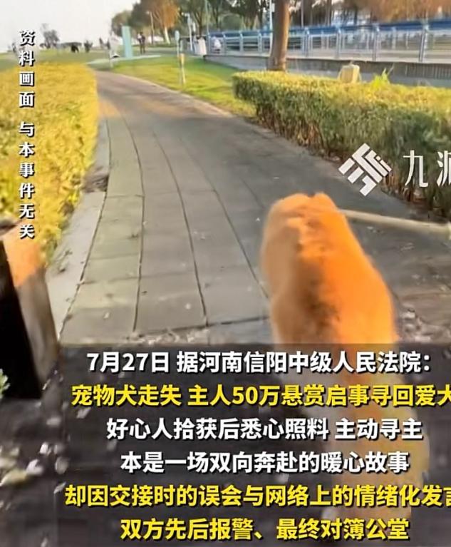 河南光山男子小刘重金悬赏50万找狗，狗找回来当场耍赖不给酬劳，还网上造谣捡狗人小