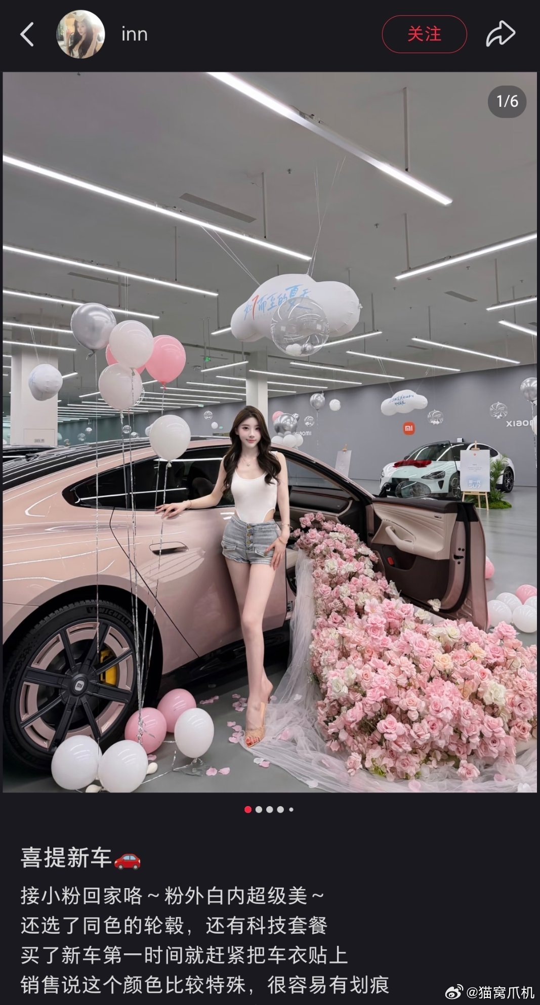 晚安猫窝每日晚安新一代su7