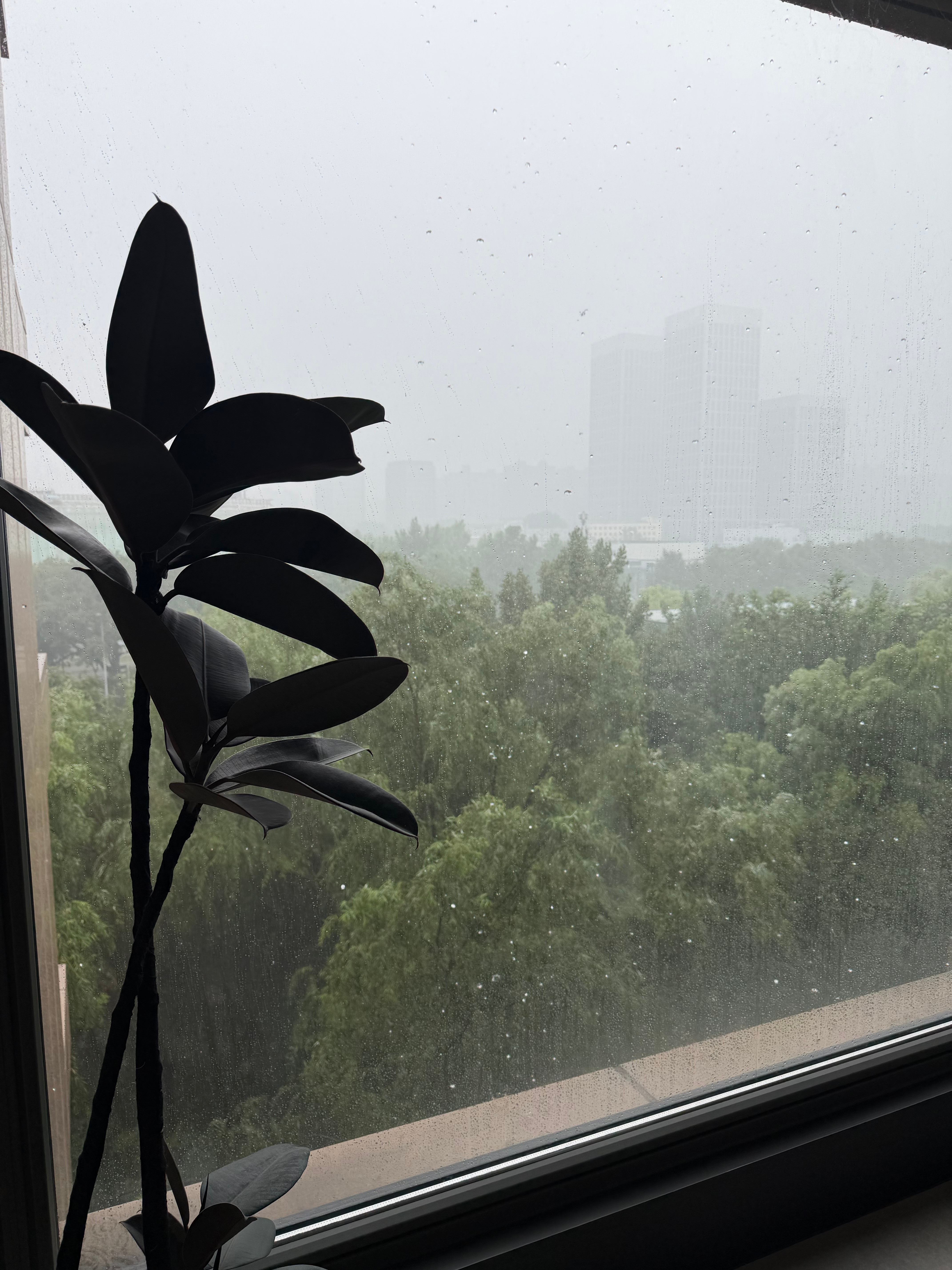 北京5区有大暴雨极端天气大家非必要不出门这雨看样子小不了北京