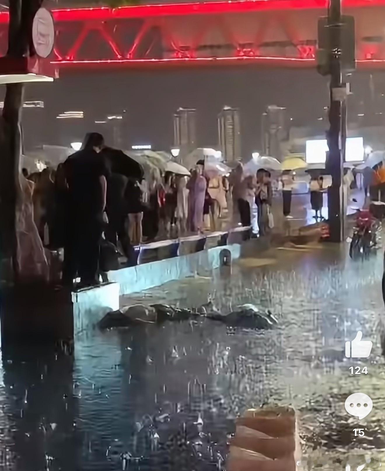 洪崖洞网上说两位在重庆洪崖洞公交站台等车的游客，因为打雷被击中倒在水中。有图，有