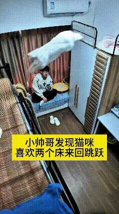 乖乖嘞！这小伙儿也太暖心太细心了吧！瞅见自家猫咪总爱在上下两个床铺中间来回蹦跶跳