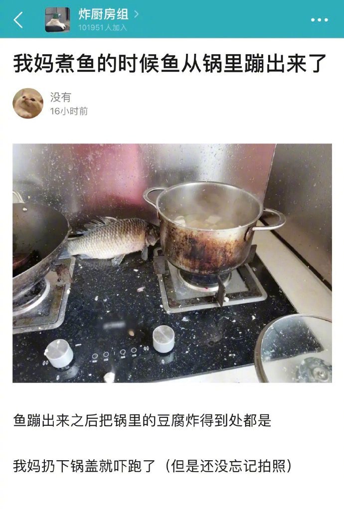 哈哈哈哈哈哈哈哈哈哈哈哈哈好家伙我不是来做饭的我是来炸！厨！房！的！