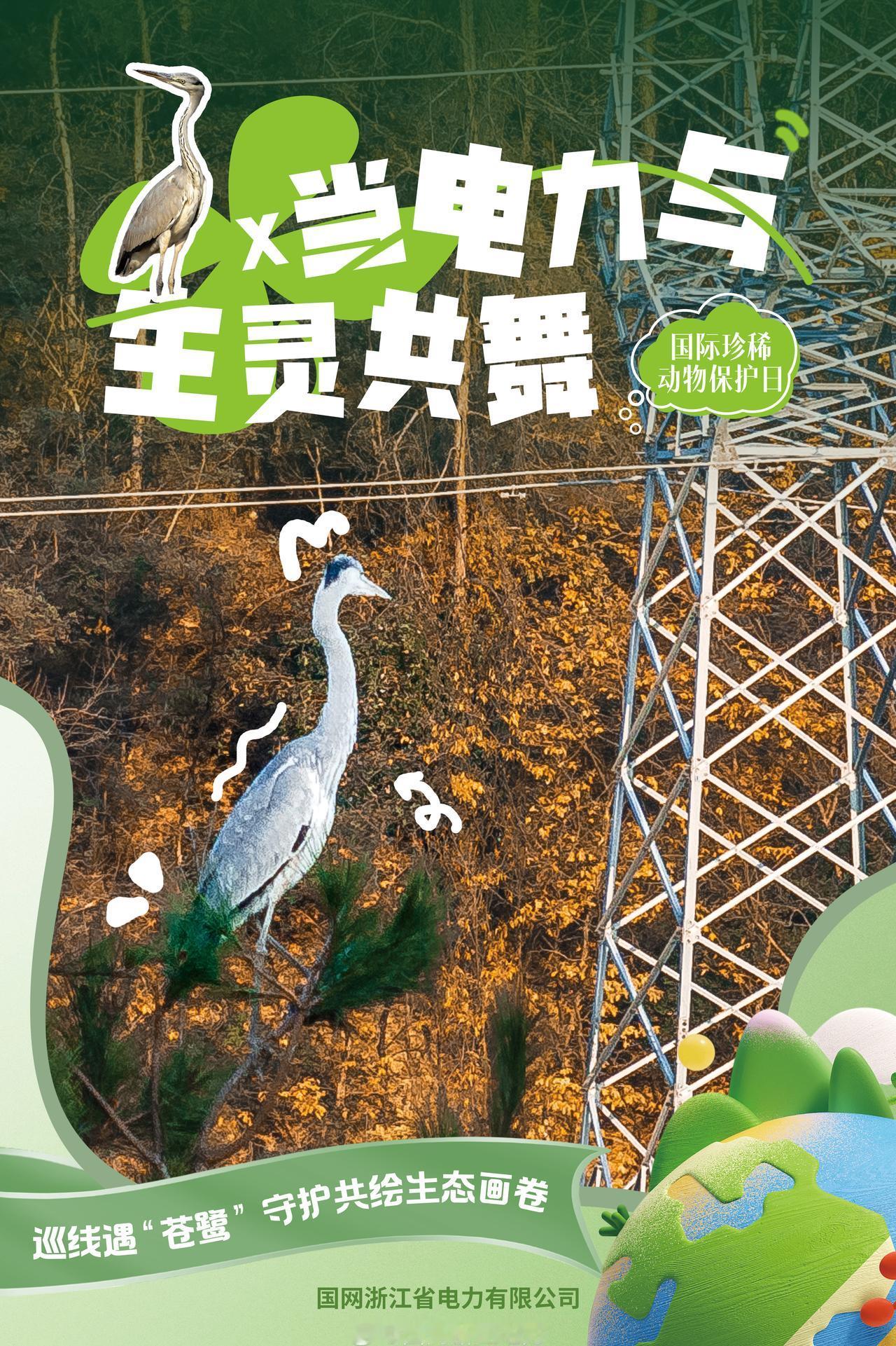 守护共绘生态画卷】在江山的山林间，巡线途中偶遇了一幅灵动画面——国家二级保护动物