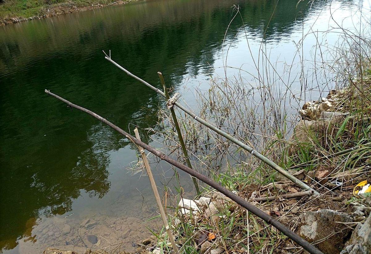 你以为河边坐着的都是大爷？那是中国1.2亿职场人的集体“逃跑计划”。他们用鱼