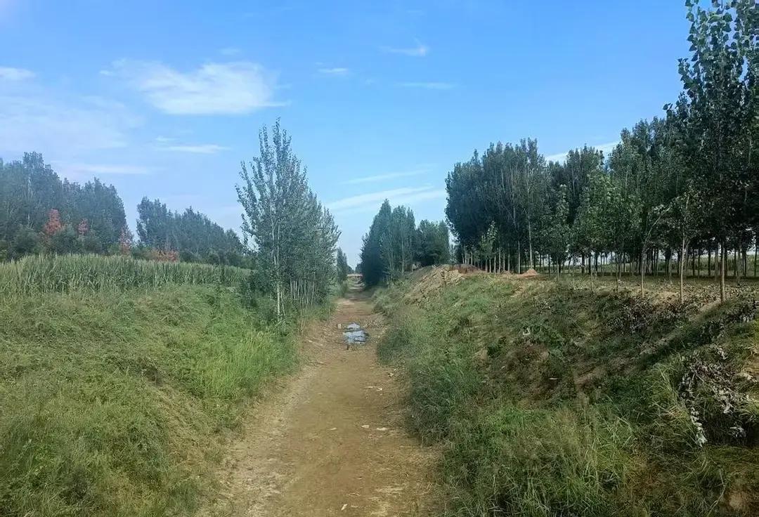 47岁，干了10年副书记，好不容易熬到个正科。结果发现，老天爷给你开的不是一扇