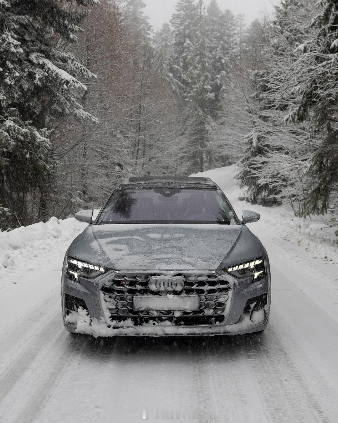 听说大雪天和奥迪S8更配