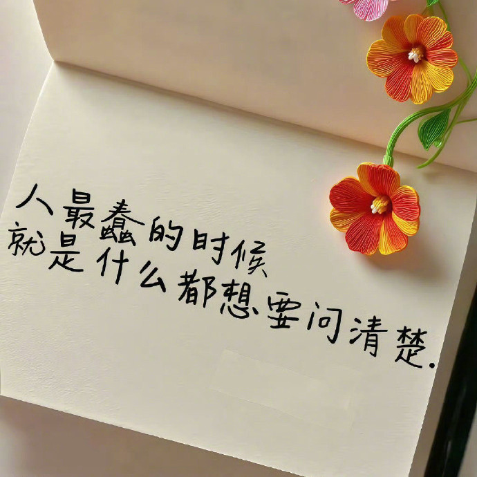 人性最大的丑恶：恨你有，笑你无，嫌你穷，怕你富。​​​​